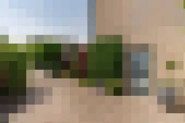 De Mute 6 Den Ham thumbnail 7