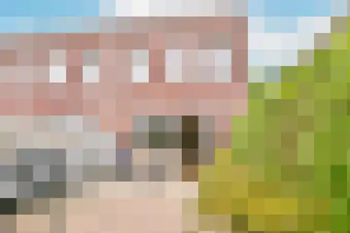De Muy 131 Hoofddorp thumbnail 19