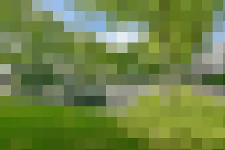 De Muy 131 Hoofddorp thumbnail 38