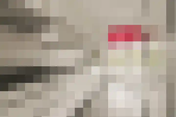 De Muy 313 Hoofddorp thumbnail 14