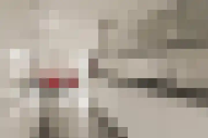 De Muy 313 Hoofddorp thumbnail 15