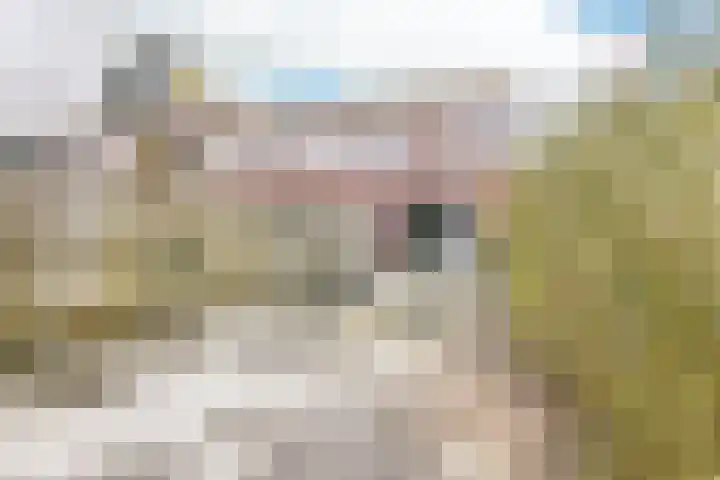 De Muy 313 Hoofddorp thumbnail 18