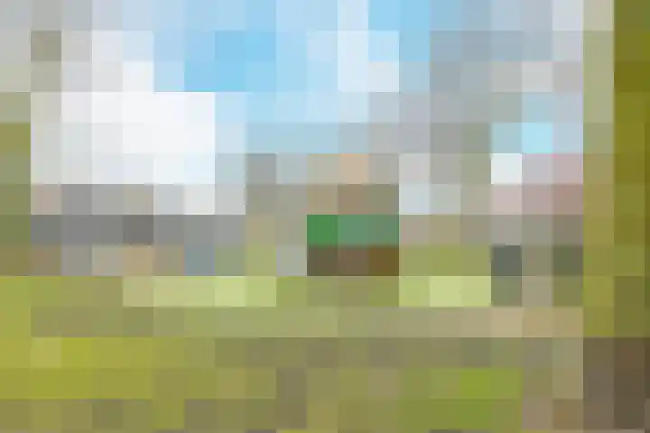De Muy 313 Hoofddorp thumbnail 29
