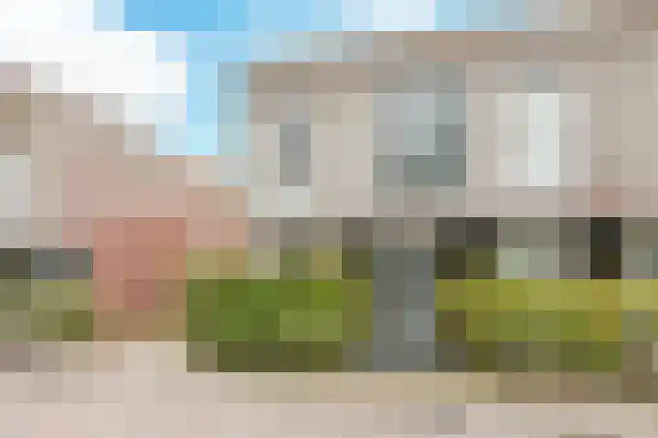 De Muy 313 Hoofddorp thumbnail 5