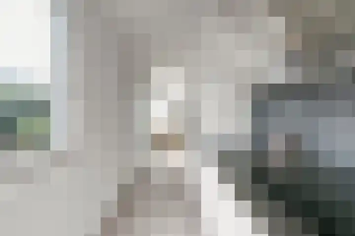 De Muy 95 Hoofddorp thumbnail 15