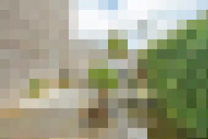 De Muy 95 Hoofddorp thumbnail 18