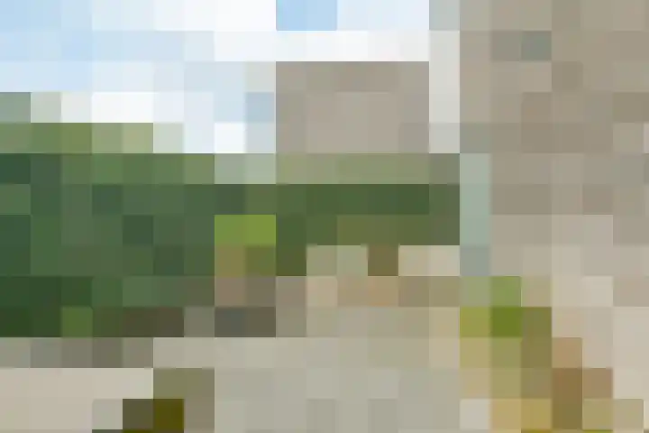 De Muy 95 Hoofddorp thumbnail 19