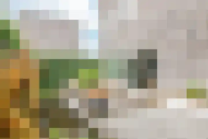De Muy 95 Hoofddorp thumbnail 4