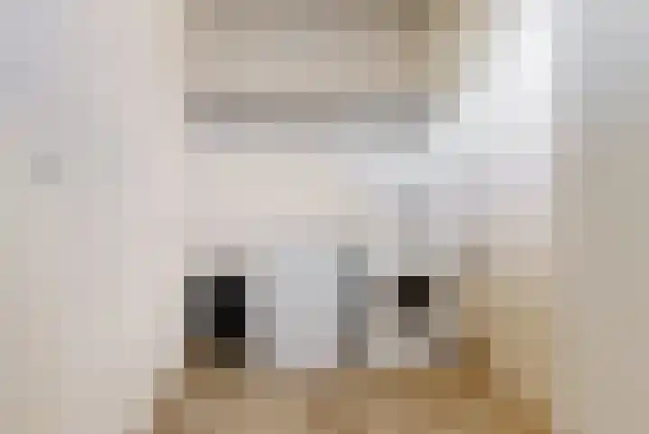 De Muzen 14 Aalsmeer thumbnail 14