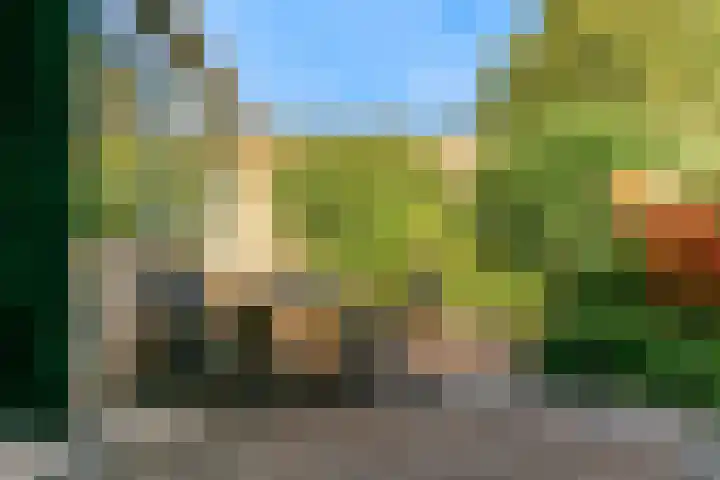 De Muzen 14 Aalsmeer thumbnail 25