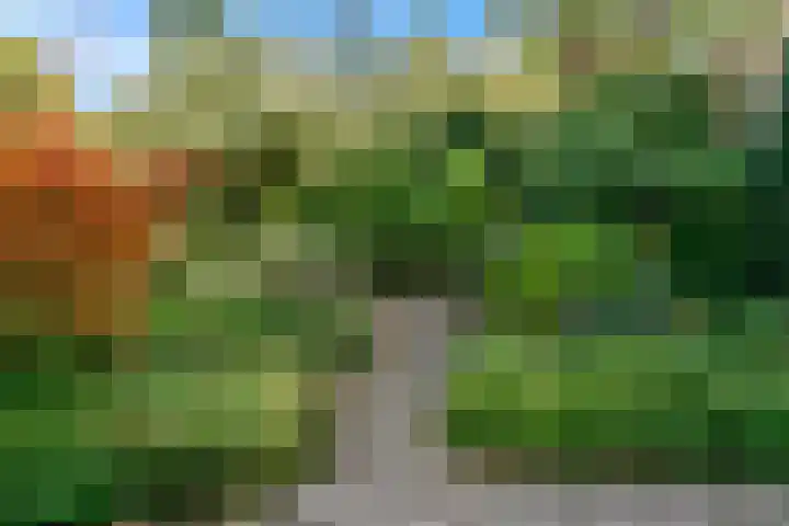 De Muzen 14 Aalsmeer thumbnail 27