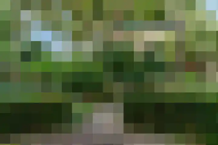 De Muzen 14 Aalsmeer thumbnail 31
