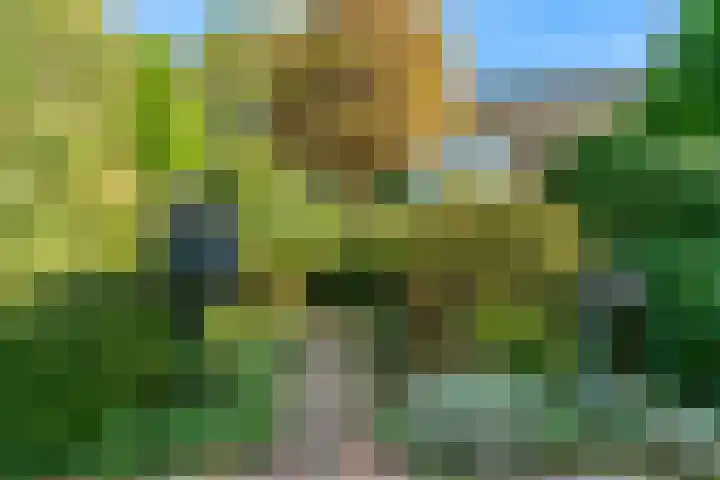 De Muzen 14 Aalsmeer thumbnail 35