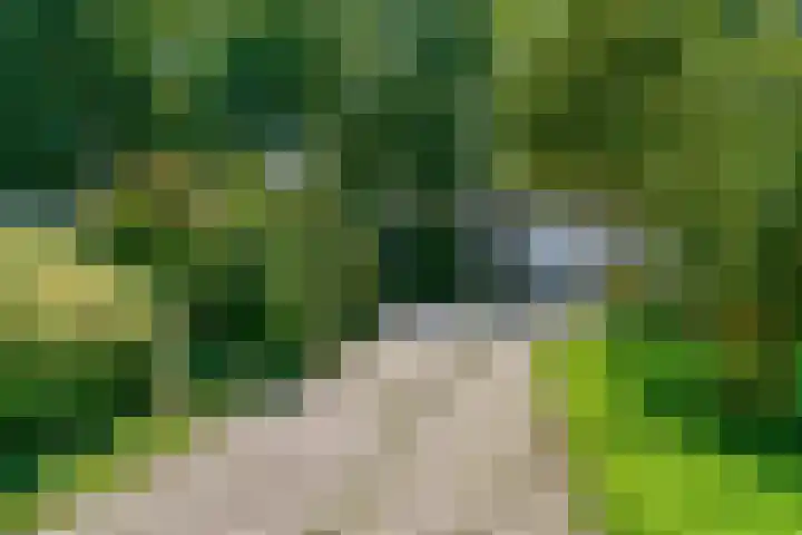 De Muzen 14 Aalsmeer thumbnail 37