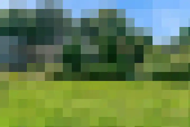 De Muzen 14 Aalsmeer thumbnail 38