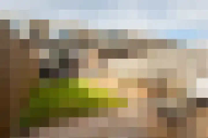 de Narcis 13 Hoogerheide thumbnail 23