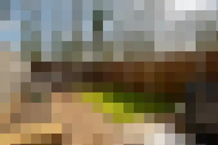 de Narcis 13 Hoogerheide thumbnail 25