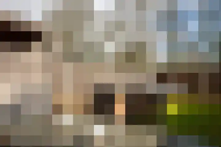de Narcis 13 Hoogerheide thumbnail 27