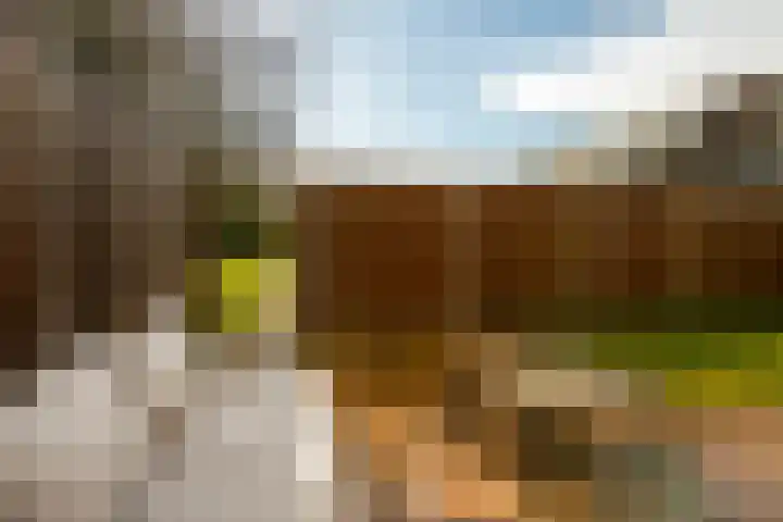 de Narcis 13 Hoogerheide thumbnail 29