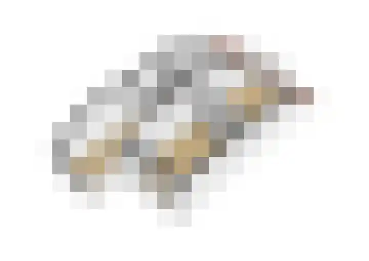 de Narcis 13 Hoogerheide thumbnail 39