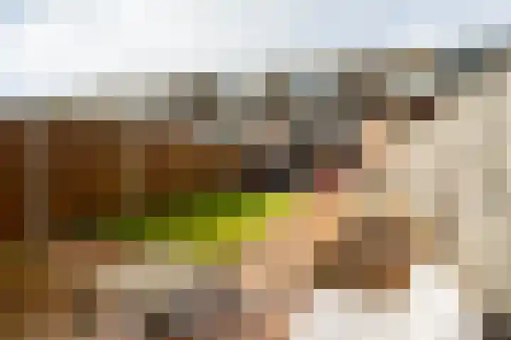 de Narcis 13 Hoogerheide thumbnail 4