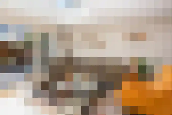 De Nes 14 Vleuten thumbnail 10