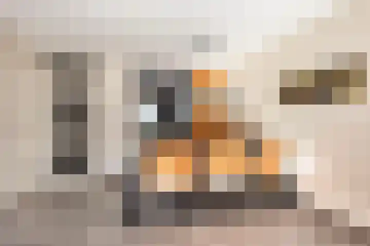 De Nes 14 Vleuten thumbnail 14