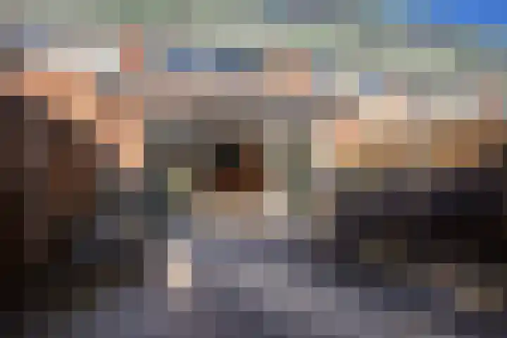 De Nes 14 Vleuten thumbnail 20