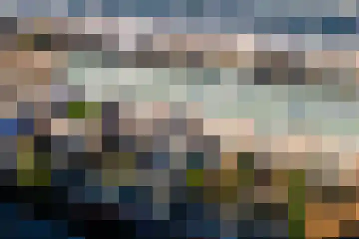 De Nes 14 Vleuten thumbnail 38