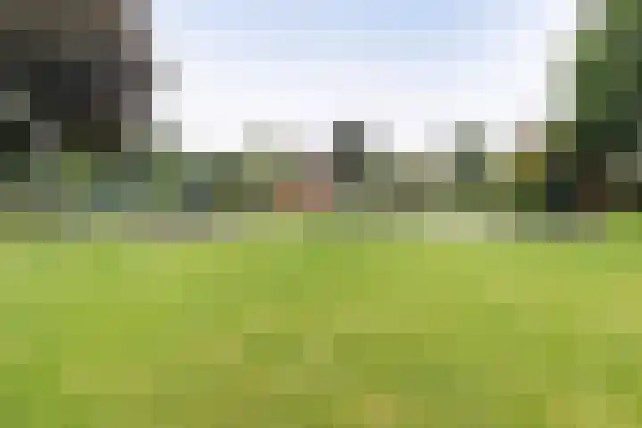 De Nes 14 Vleuten thumbnail 39