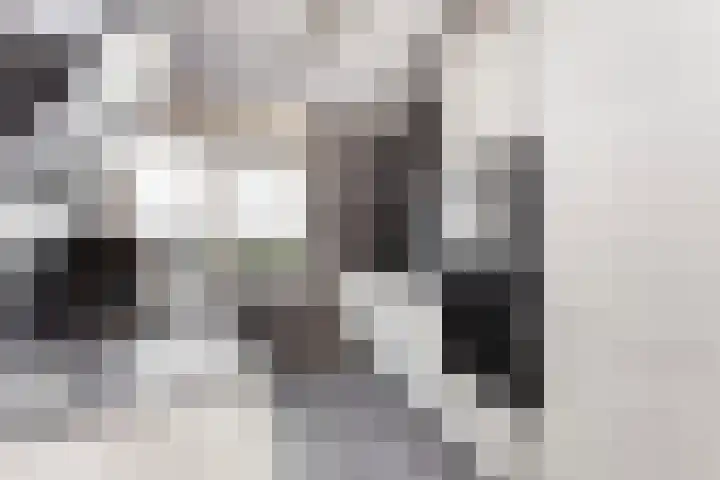 De Nes 14 Vleuten thumbnail 4