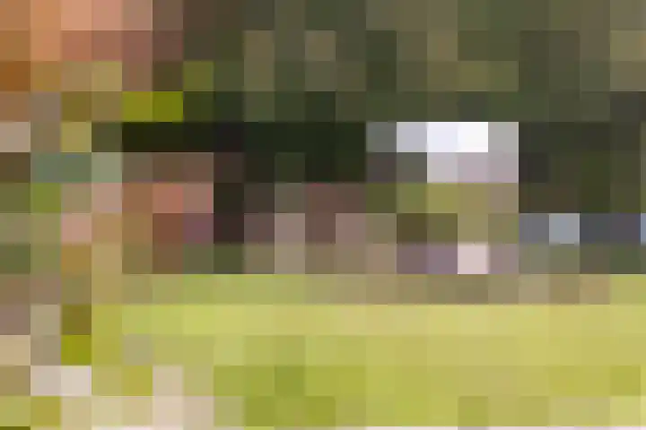 De Nes 14 Vleuten thumbnail 41