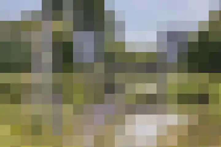 De Nes 14 Vleuten thumbnail 43