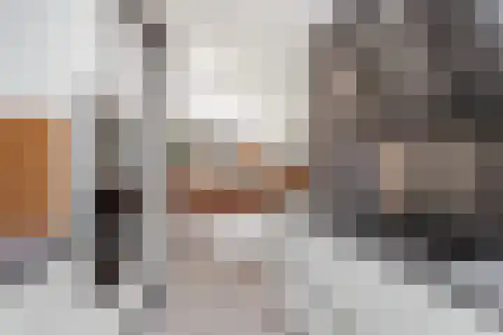 De Nes 14 Vleuten thumbnail 5