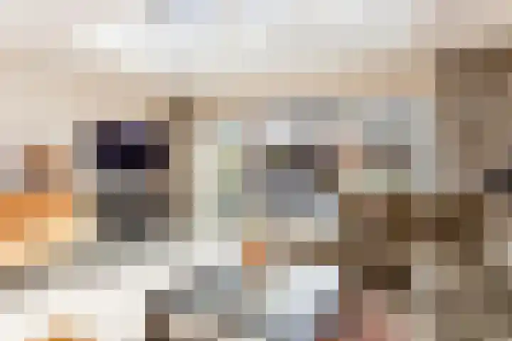 De Nes 14 Vleuten thumbnail 8