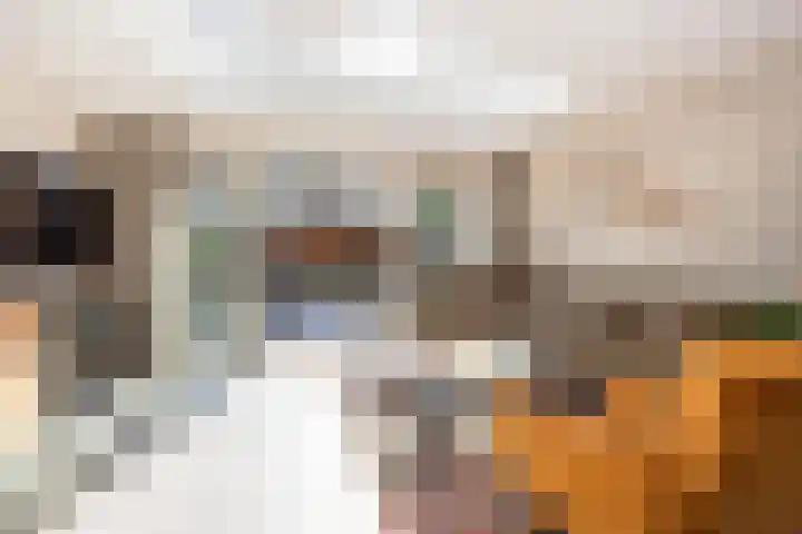 De Nes 14 Vleuten thumbnail 9