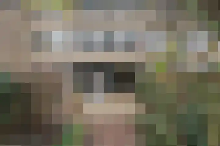 De Ness 32 Linschoten