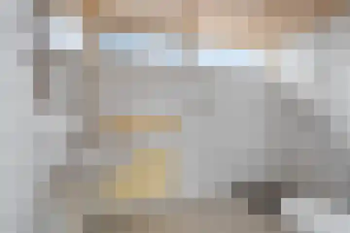 De Ness 32 Linschoten thumbnail 18