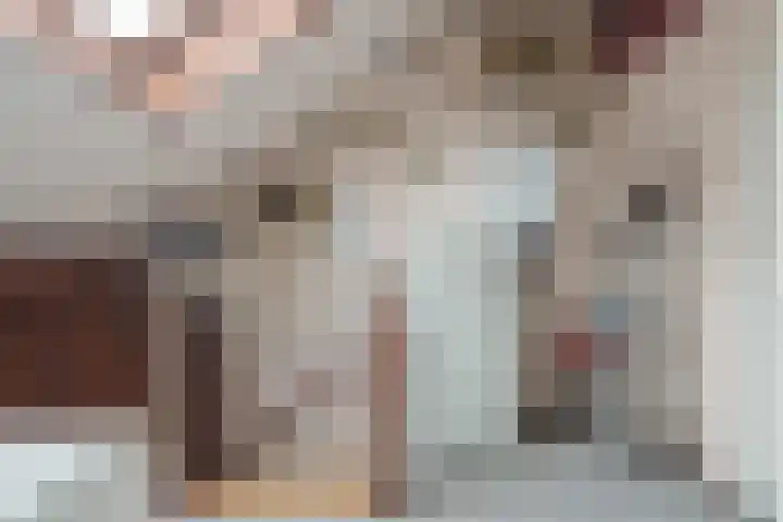 De Ness 32 Linschoten thumbnail 22