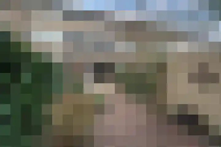 De Ness 32 Linschoten thumbnail 31
