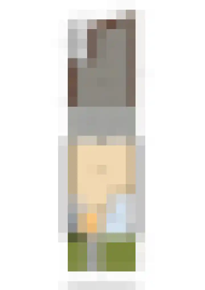 De Ness 32 Linschoten thumbnail 38