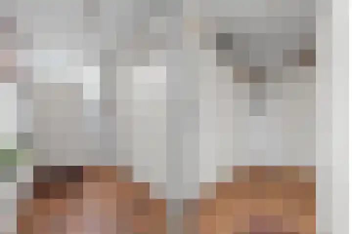 De Ness 32 Linschoten thumbnail 4