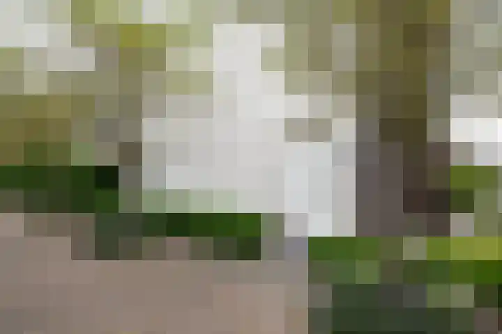 De Nevel 20 Doetinchem thumbnail 33