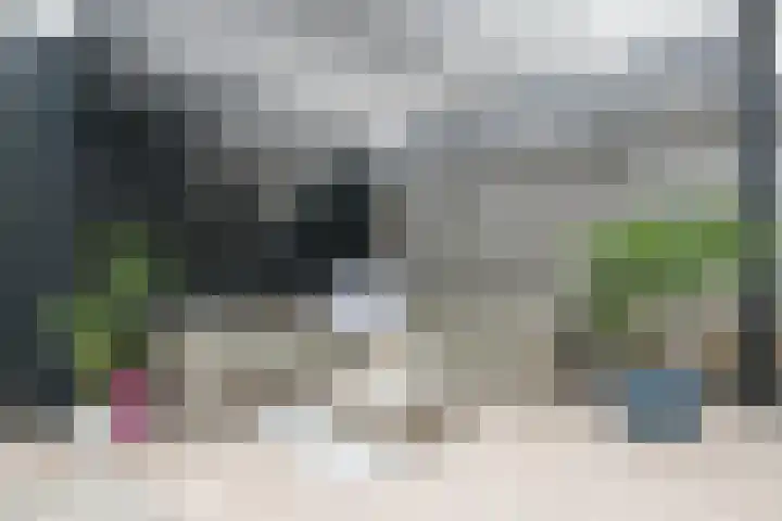 De Nevel 20 Doetinchem thumbnail 4