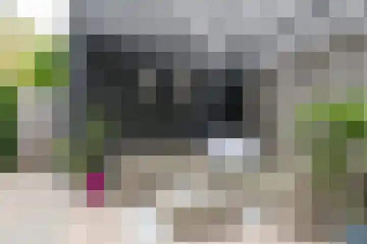 De Nevel 20 Doetinchem thumbnail 40