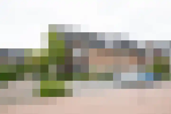 De Nevel 20 Doetinchem thumbnail 50