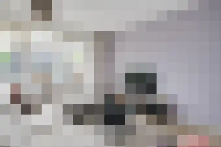 De Nevel 20 Doetinchem thumbnail 7
