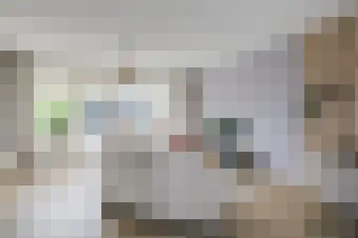 De Nevel 20 Doetinchem thumbnail 8