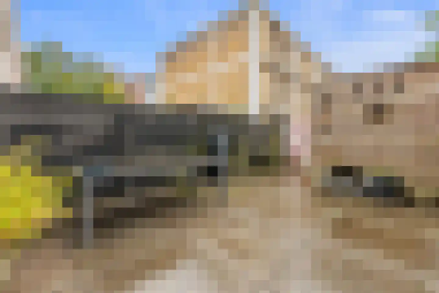 De Nielt 32 dans Cuijk