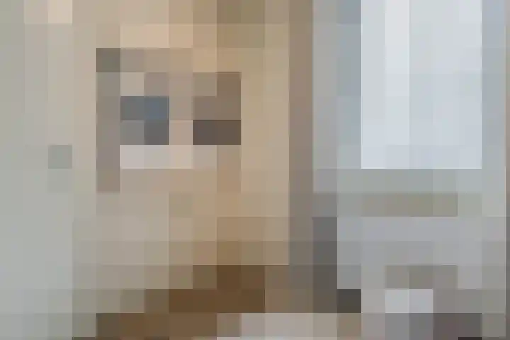 De Nielt 80 Cuijk thumbnail 22